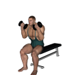 Shoulder Press - Seated Inwards Reverse